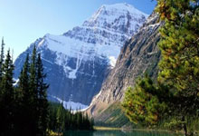 关于哥伦比亚女足-战胜科特迪瓦杀入八强的信息