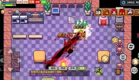 洛纳普提榭依三辛破务厄宾的简单介绍